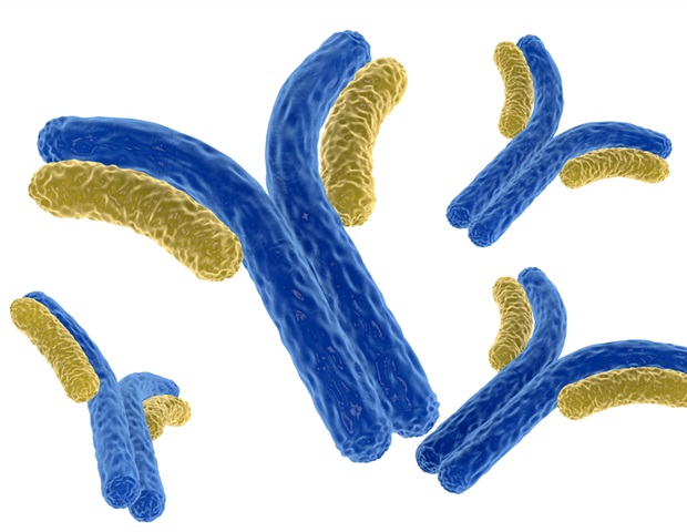 Un nouvel anticorps monoclonal semble efficace pour neutraliser de nombreuses variantes du SRAS-CoV-2